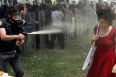 gezi-1